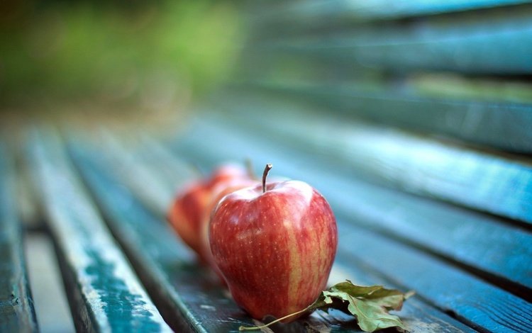 макро, фрукты, яблоки, осень, лист, скамейка, яблоко, macro, fruit, apples, autumn, sheet, bench, apple