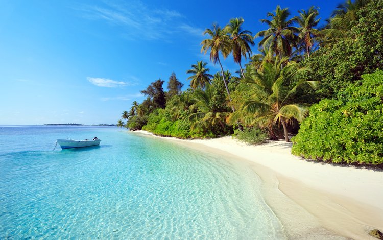 море, пляж, лодка, пальмы, отдых, остров, тропики, мальдивы, sea, beach, boat, palm trees, stay, island, tropics, the maldives