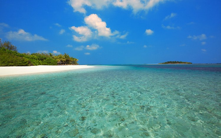 море, пляж, острова, отдых, тропики, мальдивы, sea, beach, islands, stay, tropics, the maldives