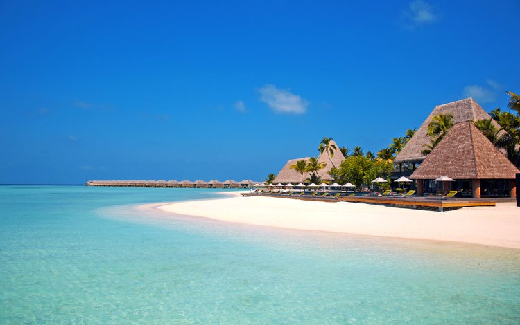 море, пляж, пальмы, отдых, остров, бунгало, тропики, мальдивы, sea, beach, palm trees, stay, island, bungalow, tropics, the maldives
