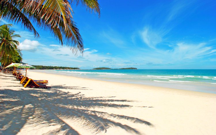 море, пляж, пальмы, отдых, тропики, sea, beach, palm trees, stay, tropics