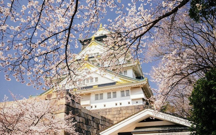 небо, цветение, япония, весна, дворец, осака, the sky, flowering, japan, spring, palace, osaka