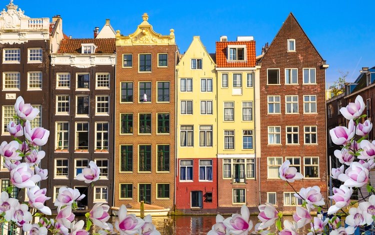цветы, река, цветение, весна, здания, нидерланды, амстердам, flowers, river, flowering, spring, building, netherlands, amsterdam