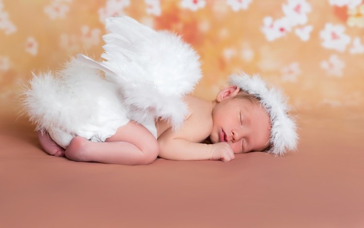сон, крылья, ангел, ребенок, малыш, младенец, sleep, wings, angel, child, baby