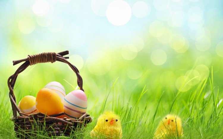 трава, весна, корзина, пасха, яйца, боке, цыплята, grass, spring, basket, easter, eggs, bokeh, chickens
