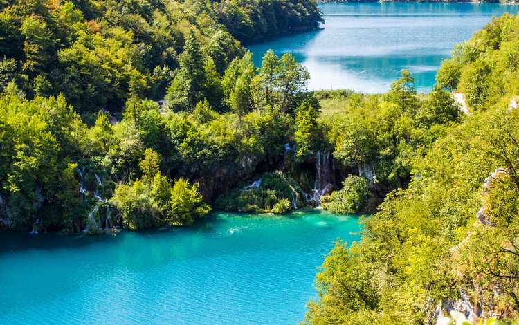 вода, плитвицкие озёра, озеро, туристы, природа, хорватия., лес, леса, озёра, красиво, тропики, хорватия, water, plitvice lakes, lake, tourists, nature, croatia., forest, beautiful, tropics, croatia