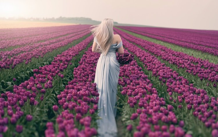 Девушка со спиы в поле тюльпанов