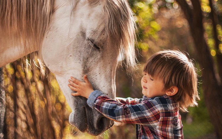 лошадь, природа, ребенок, мальчик, животное, конь, agnieszka gulczynska, horse, nature, child, boy, animal