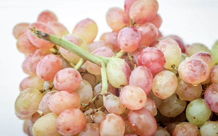 макро, виноград, капли, ягоды, гроздь, macro, grapes, drops, berries, bunch