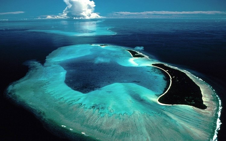 море, суша, остров, мальдивы, рифы, территория, sea, drying, island, the maldives, reefs, territory