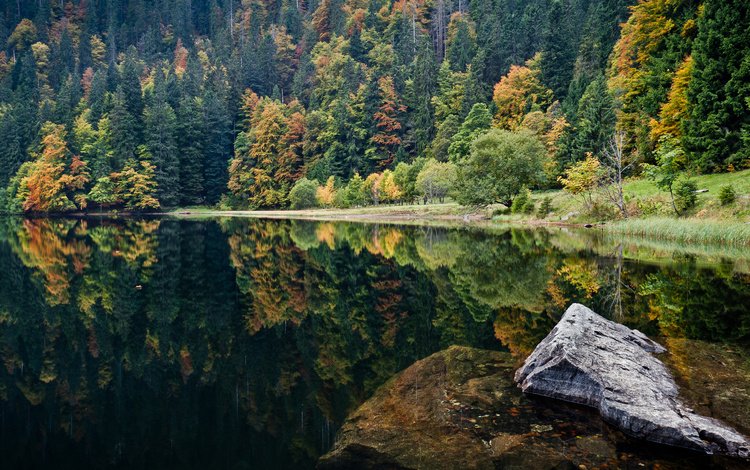 озеро, природа, камни, отражение, пейзаж, леса, lake, nature, stones, reflection, landscape, forest