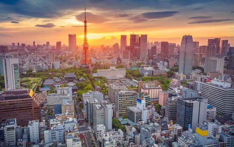 панорама, япония, башня, дома, токио, panorama, japan, tower, home, tokyo