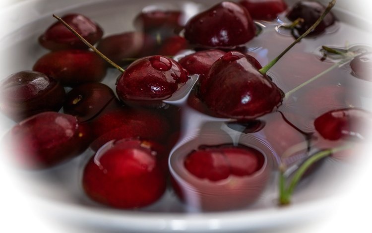 вода, черешня, ягоды, вишня, water, cherry, berries