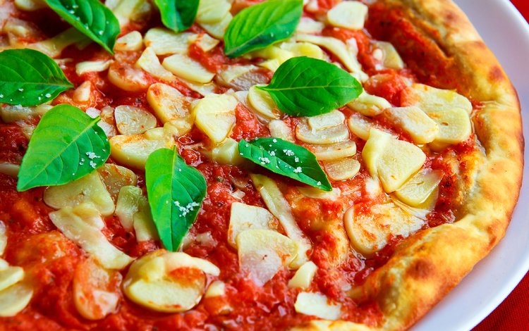 овощи, соус, пицца, чеснок, базилик, vegetables, sauce, pizza, garlic, basil