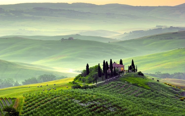 холмы, италия, сопка, виноградник, тоскана, hills, italy, hill, vineyard, tuscany