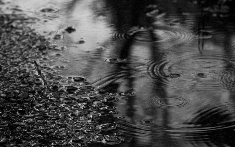 вода, камни, чёрно-белое, дождь, лужа, water, stones, black and white, rain, puddle