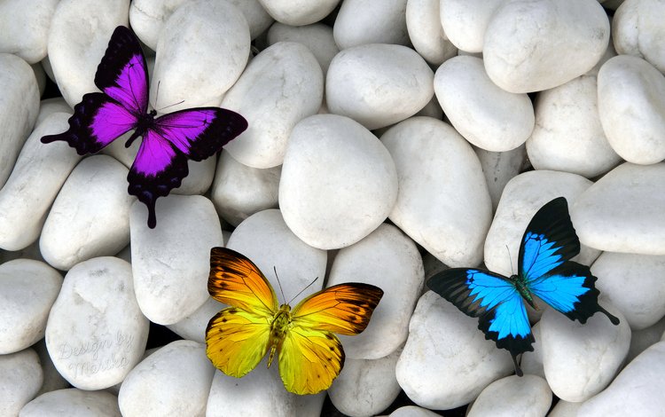 камни, галька, разноцветные, крылья, насекомые, бабочки, stones, pebbles, colorful, wings, insects, butterfly