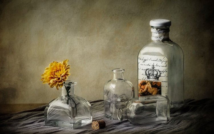 цветок, стекло, посуда, бутылка, алкоголь, натюрморт, пробка, самогон, flower, glass, dishes, bottle, alcohol, still life, tube, moonshine