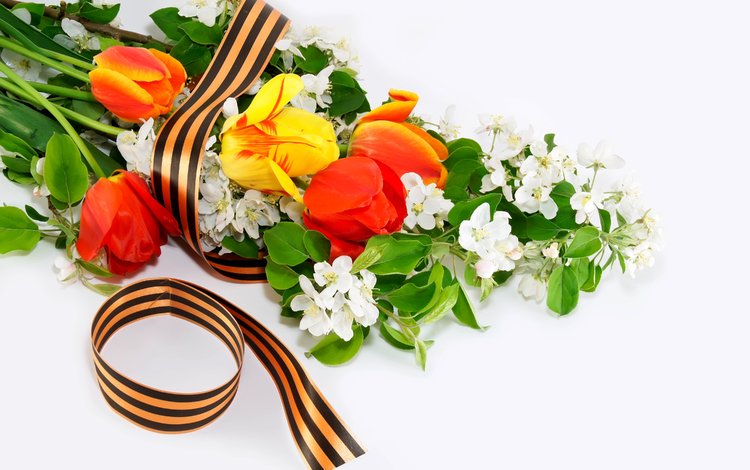 цветы, день победы, 9 мая, георгиевская ленточка, flowers, victory day, may 9, george ribbon