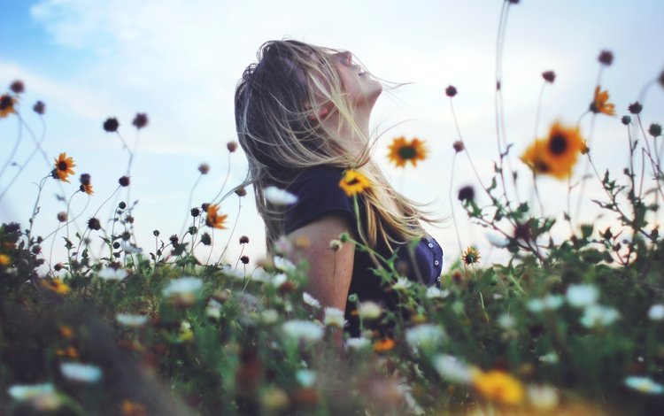 цветы, девушка, настроение, блондинка, поле, профиль, полевые цветы, flowers, girl, mood, blonde, field, profile, wildflowers