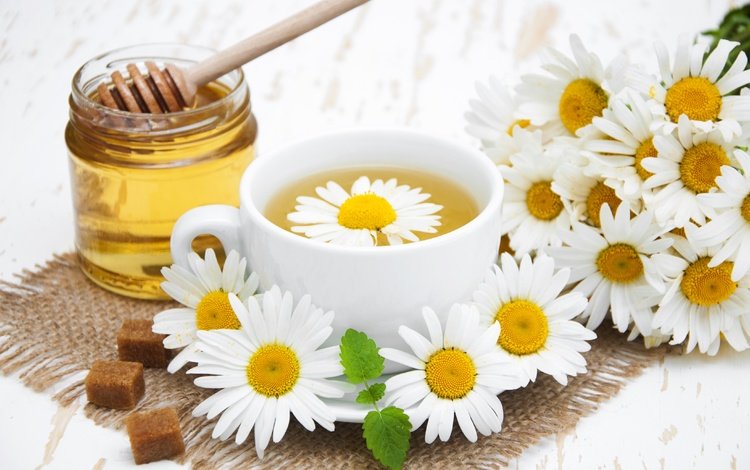 цветы, ромашки, чашка, чай, мед, сахар, травяной чай, flowers, chamomile, cup, tea, honey, sugar, herbal tea