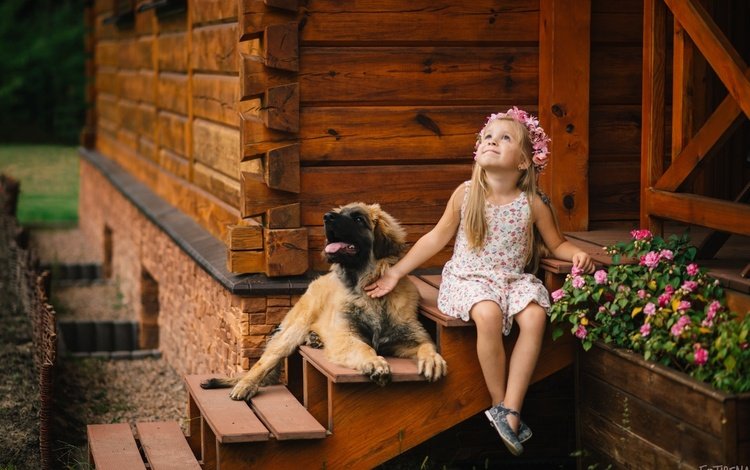 цветы, собака, девочка, дом, ребенок, пес, крыльцо, flowers, dog, girl, house, child, porch