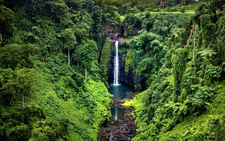 деревья, samoa, камни, зелень, лес, скала, водопад, тропики, джунгли, trees, stones, greens, forest, rock, waterfall, tropics, jungle