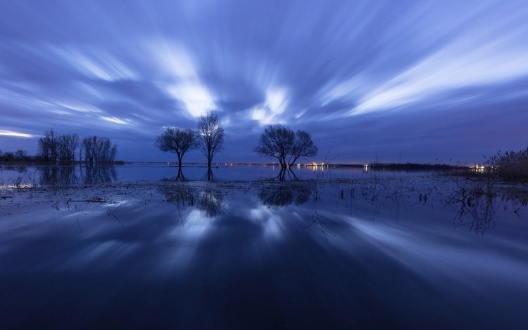 деревья, вечер, озеро, отражение, trees, the evening, lake, reflection