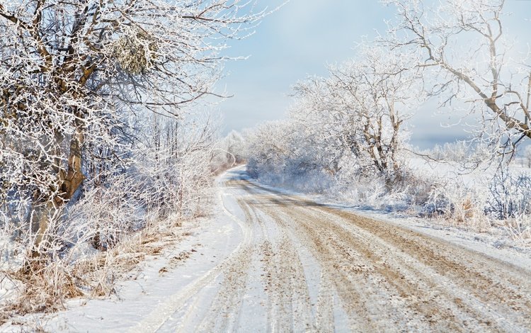 дорога, деревья, снег, зима, road, trees, snow, winter