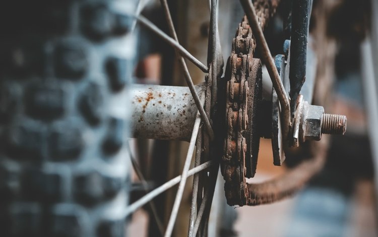 колесо, цепь, велосипед, ржавчина, спицы, wheel, chain, bike, rust, spokes
