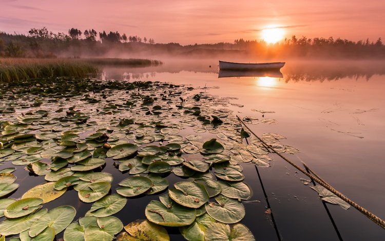 озеро, солнце, утро, туман, горизонт, лодка, lake, the sun, morning, fog, horizon, boat