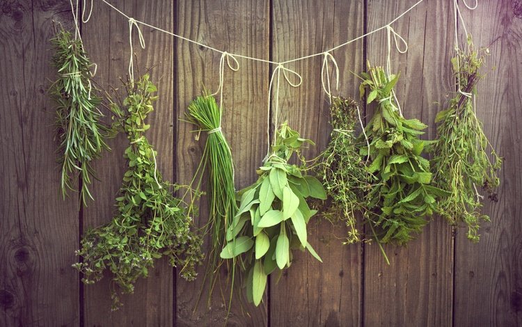 зелень, травы, пряности, приправы, нитка, висят, greens, grass, spices, seasoning, thread, hang