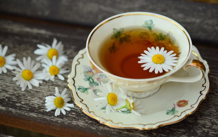 цветы, напиток, ромашки, чашка, чай, flowers, drink, chamomile, cup, tea