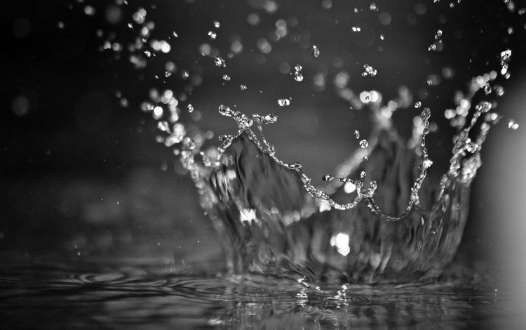вода, капли, чёрно-белое, всплеск, water, drops, black and white, splash