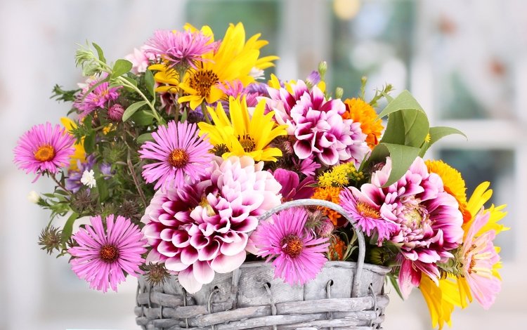 цветы, букет, корзинка, георгины, астры, flowers, bouquet, basket, dahlias, asters