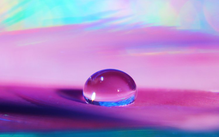 вода, макро, капля, о, прозрачность, п, сиреневый фон, water, macro, drop, on, transparency, p, lilac background