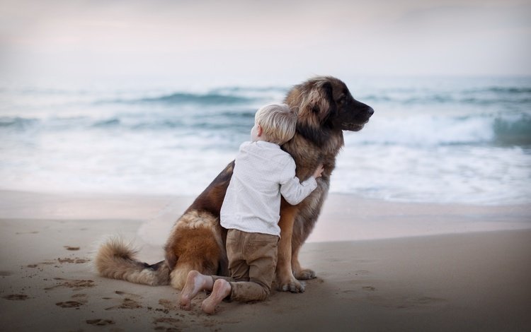 море, песок, пляж, собака, следы, ребенок, мальчик, друзья, sea, sand, beach, dog, traces, child, boy, friends