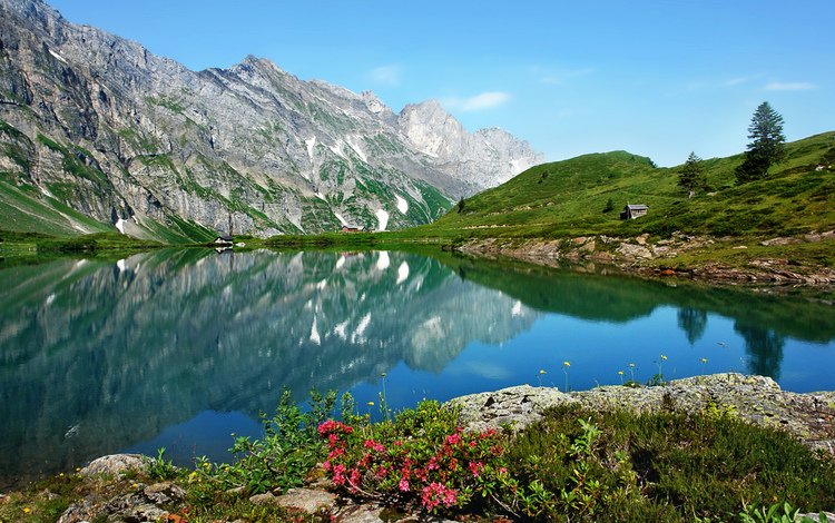 озеро, горы, природа, отражение, пейзаж, цветы. лето, lake, mountains, nature, reflection, landscape, flowers. summer