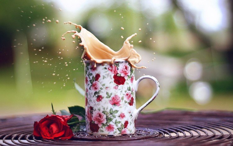 напиток, цветок, роза, кофе, кружка, всплеск, капучино, drink, flower, rose, coffee, mug, splash, cappuccino