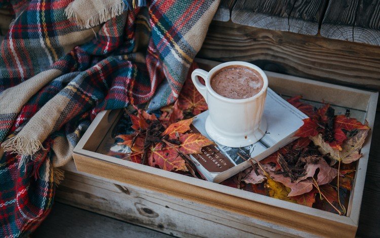 листья, кофе, чашка, плед, книга, какао, горячий шоколад, осенние листья, leaves, coffee, cup, plaid, book, cocoa, hot chocolate, autumn leaves