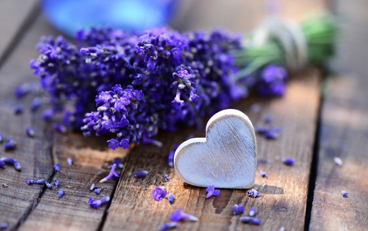 цветы, лаванда, сердечко, стол, букет, сердце., flowers, lavender, heart, table, bouquet, heart.