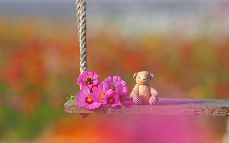 цветы, настроение, игрушка, качели, медвежонок, боке, космея, плюшевый мишка, flowers, mood, toy, swing, bear, bokeh, kosmeya, teddy bear