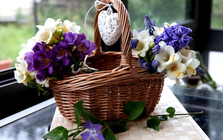 цветы, сердце, корзина, гиацинты, мускари, фрезия, барвинок, flowers, heart, basket, hyacinths, muscari, freesia, periwinkle