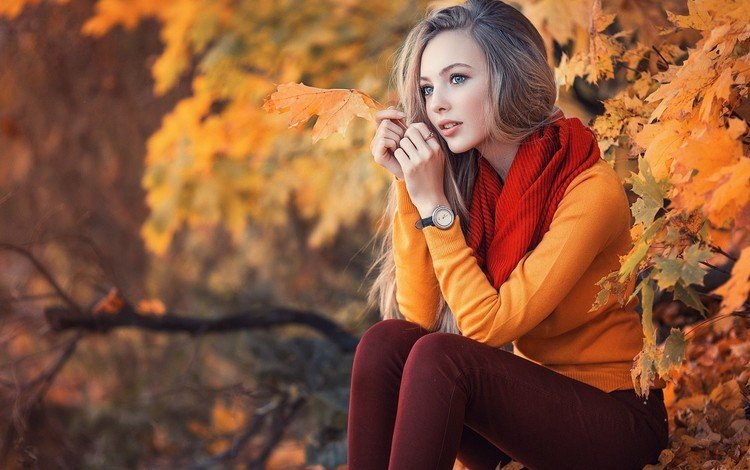 листья, девушка, взгляд, осень, длинные волосы, русая, leaves, girl, look, autumn, long hair, rus