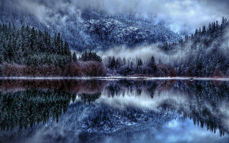 деревья, озеро, горы, снег, отражение, туман, trees, lake, mountains, snow, reflection, fog
