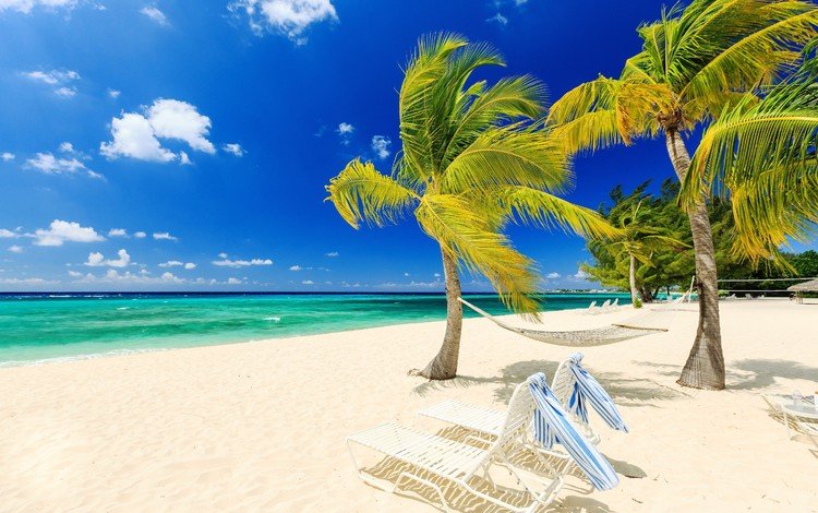природа, тропики, море, песок, пляж, пальмы, гамак, ветер, лежаки, nature, tropics, sea, sand, beach, palm trees, hammock, the wind, sunbeds