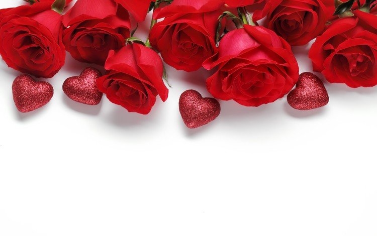 цветы, розы, красные, белый фон, сердечки, день святого валентина, валентинки, flowers, roses, red, white background, hearts, valentine's day, valentines
