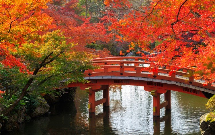 деревья, ветки, мост, осень, япония, сад, киото, пруд, trees, branches, bridge, autumn, japan, garden, kyoto, pond