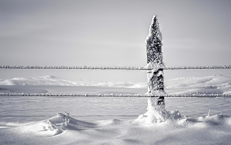 снег, природа, зима, проволока, забор, ограждение, snow, nature, winter, wire, the fence