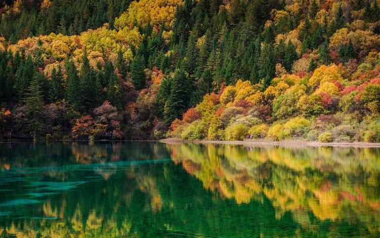 река, природа, лес, отражение, пейзаж, осень, river, nature, forest, reflection, landscape, autumn